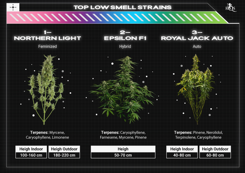 Top RQS Low Smell Strains