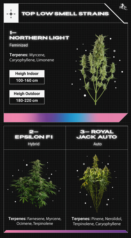 Top RQS Low Smell Strains Top RQS Low Smell Strains