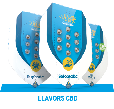 llavors-cbd-cannabis