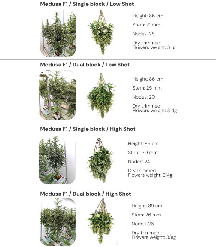 Results overview of Medusa F1 cannabis plants comparing single and dual block systems under low and high irrigation shots