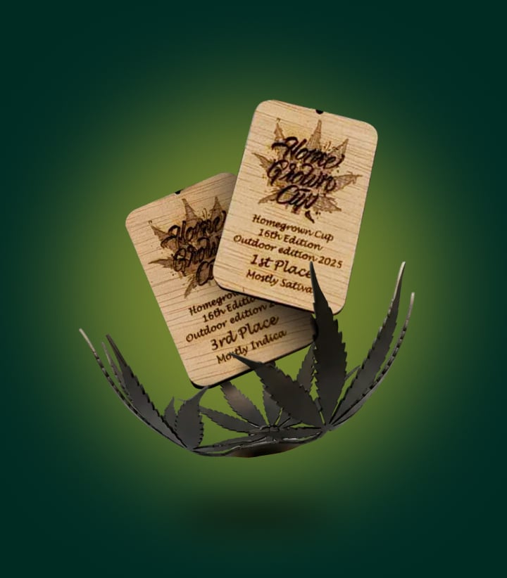 Homegrown Cup cannabis awards won by RQS, featuring first and third place trophies from the Outdoor Edition 2025