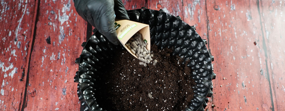 Fertilizzante organico Fertilizzante organico