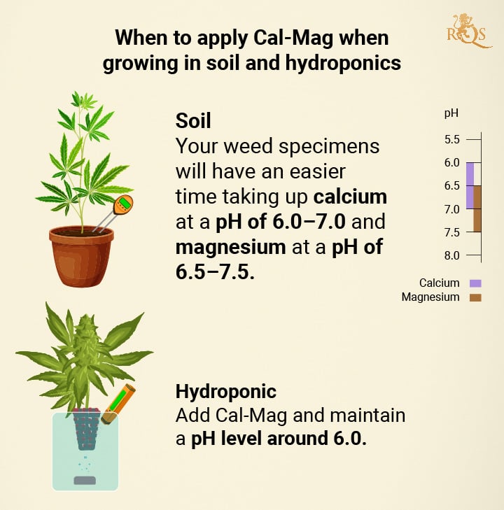 When to apply Cal-Mag