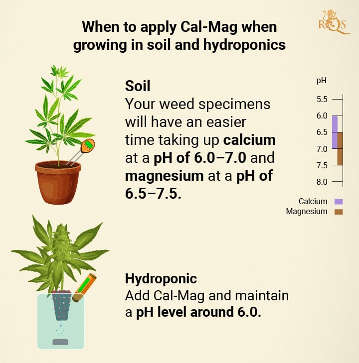 When to apply Cal-Mag When to apply Cal-Mag