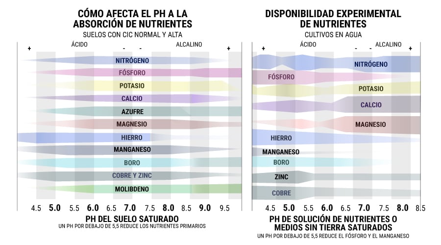 Cómo Afecta El Ph A La Absorción De Nutrientes