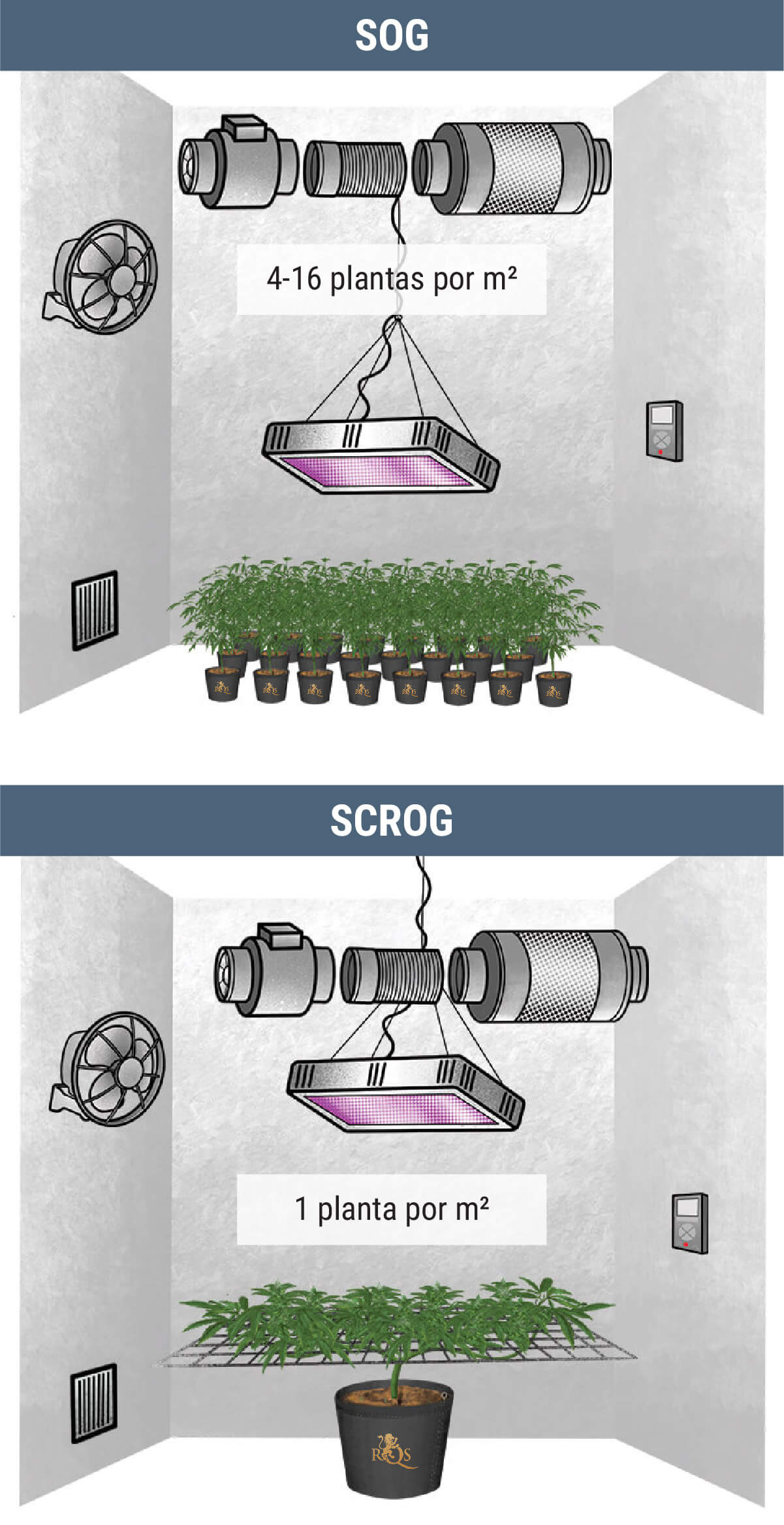 ¿Cuántas Plantas De Marihuana Puedes Cultivar Por Metro Cuadrado?