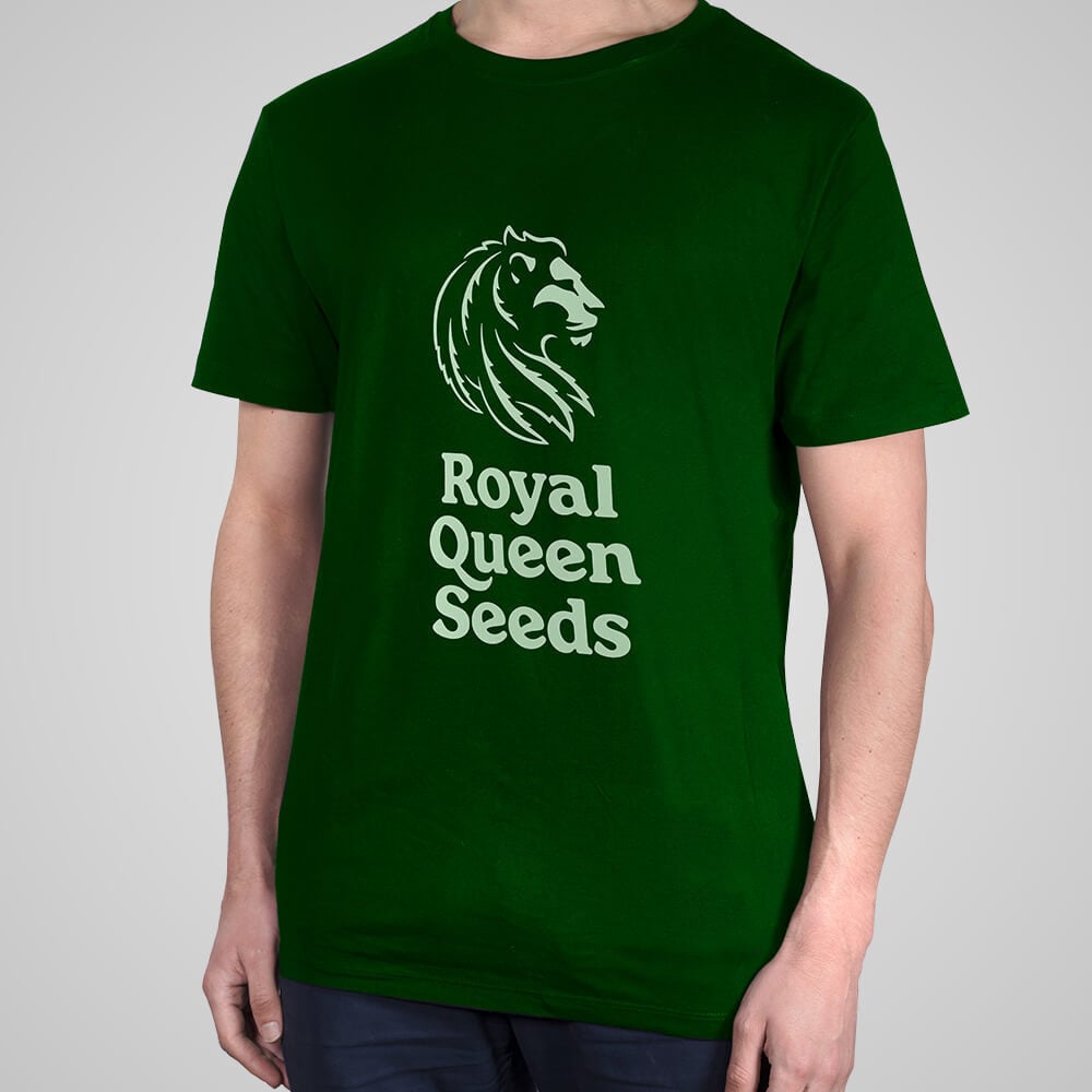 Camiseta orgánica