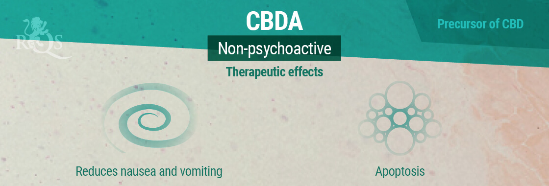 CBDA Therapeutic Effects