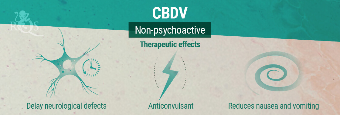 CBDV Therapeutic Effects