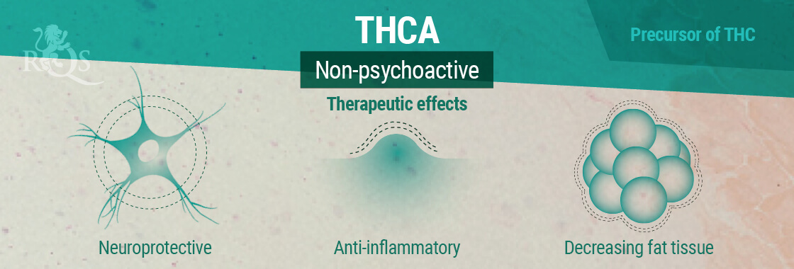 THCA Therapeutic Effects