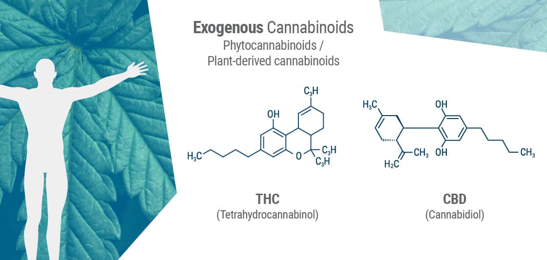 Exogenous Cannabinoids
