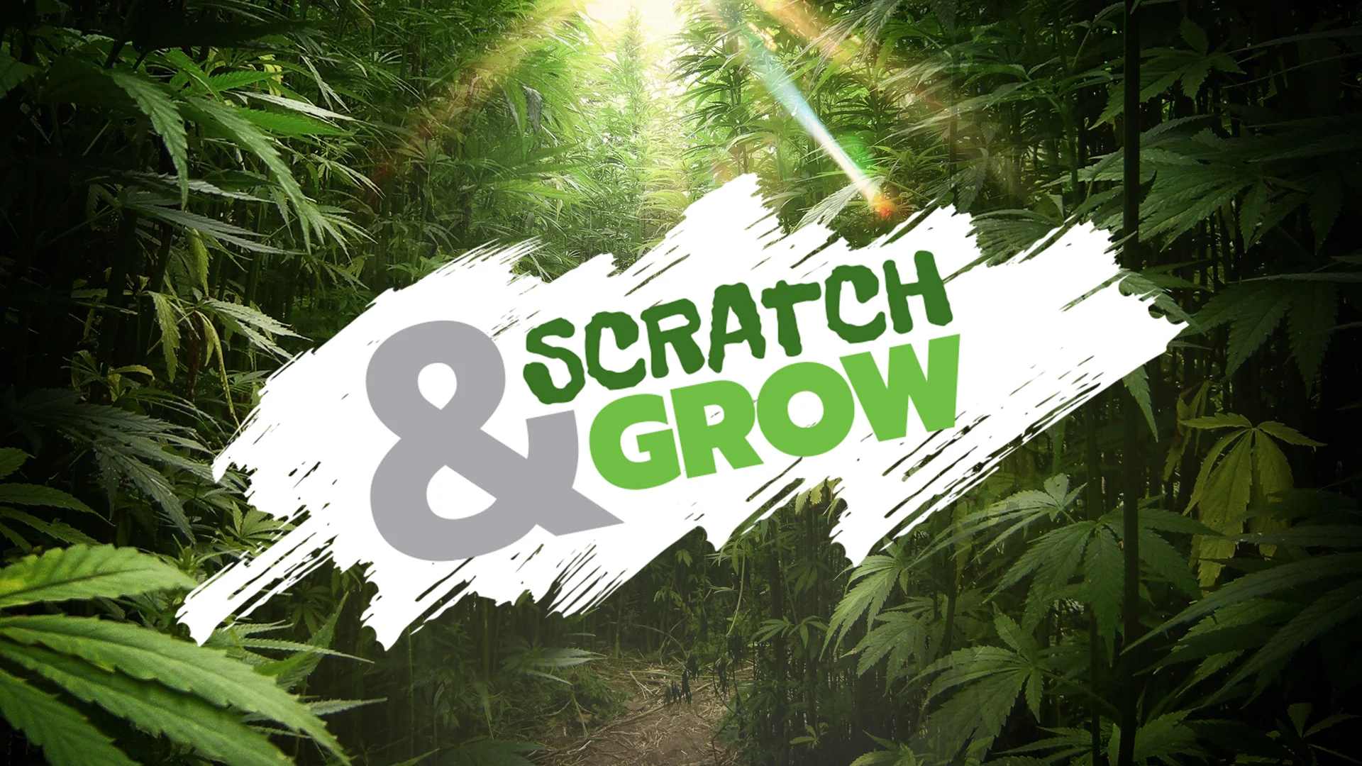 Scratch Card Scratch Card