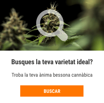 Cannabis Seedfinder