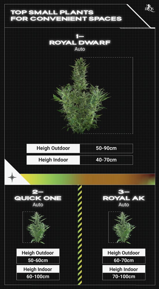 Top RQS Small Plants