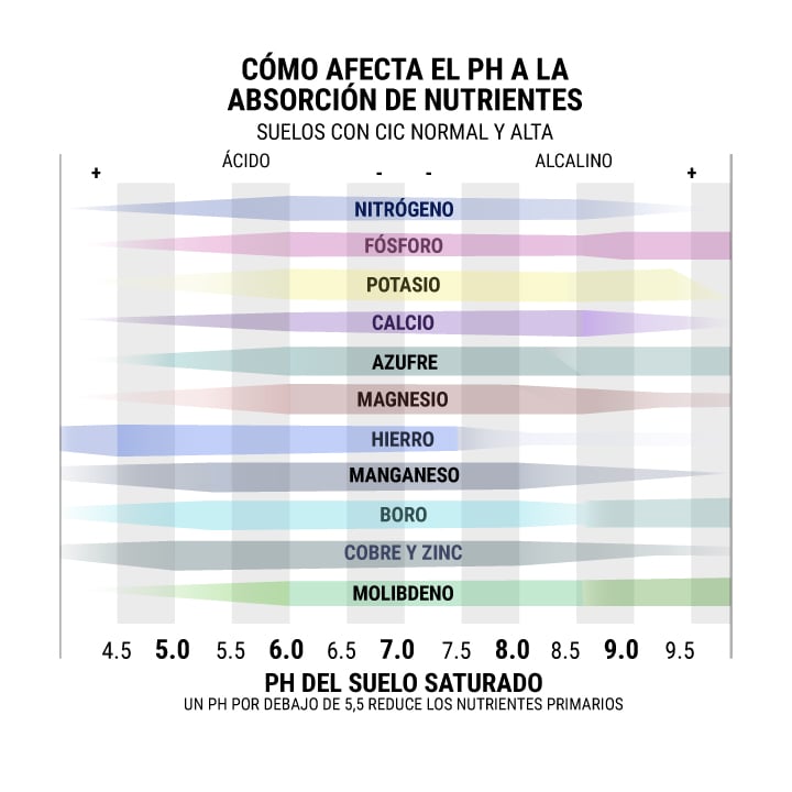 Suelos Con CIC Normal y Alta