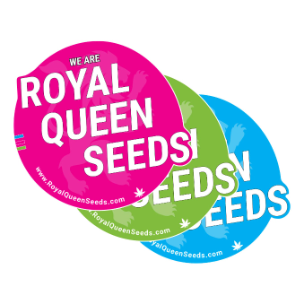 Free Hemp Wick - Royal Queen Seeds