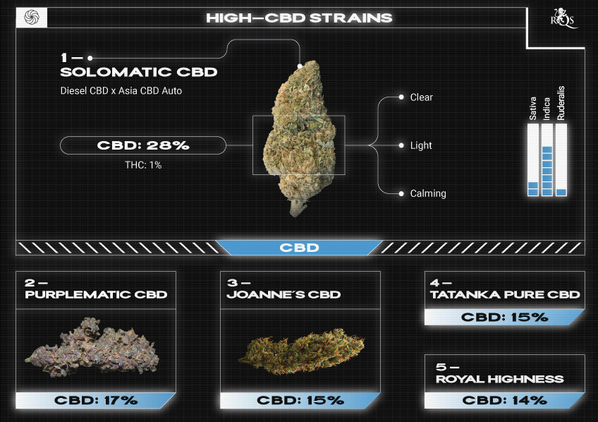 Top RQS High CBD Strains Top RQS High CBD Strains