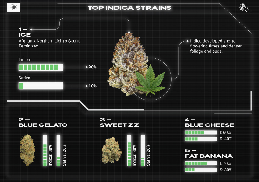 Top RQS Indica Strains Top RQS Indica Strains