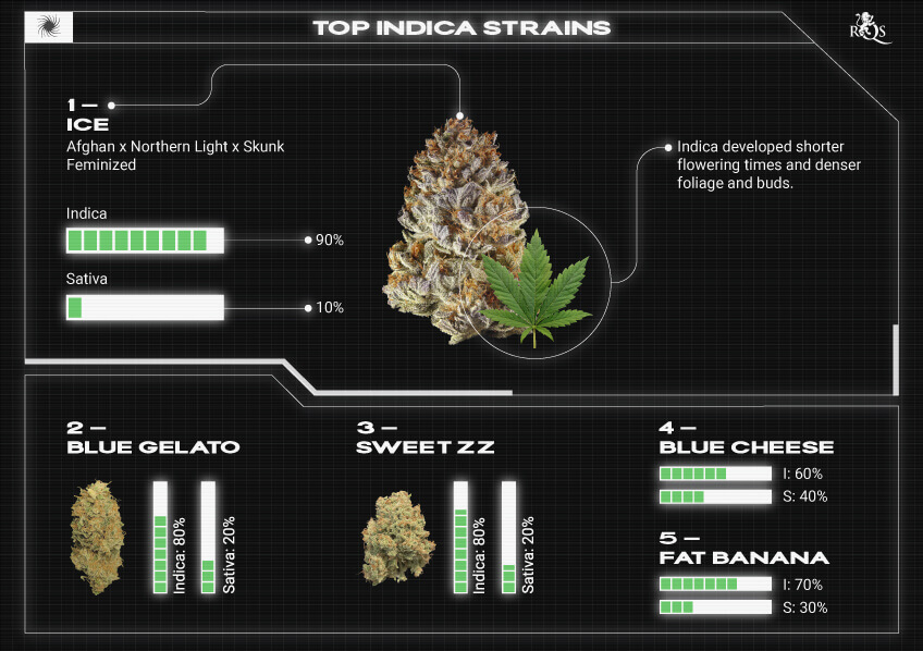Top RQS Indica Strains Top RQS Indica Strains