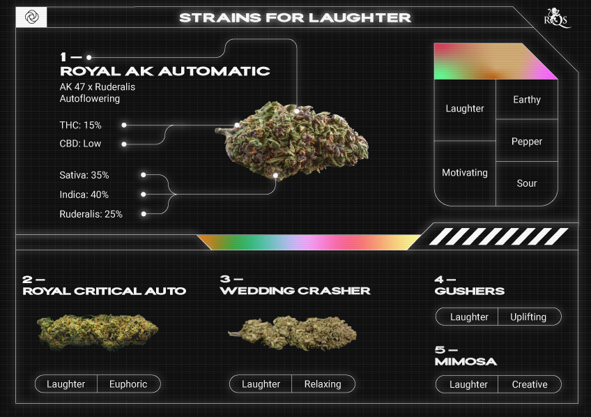 Top RQS Strains for Laughter Top RQS Strains for Laughter