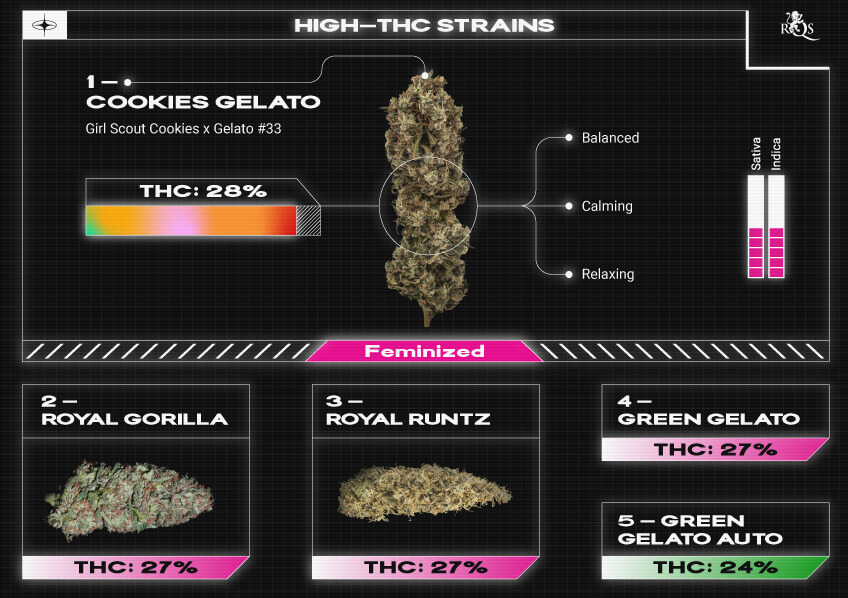 Top RQS High THC Strains Top RQS High THC Strains