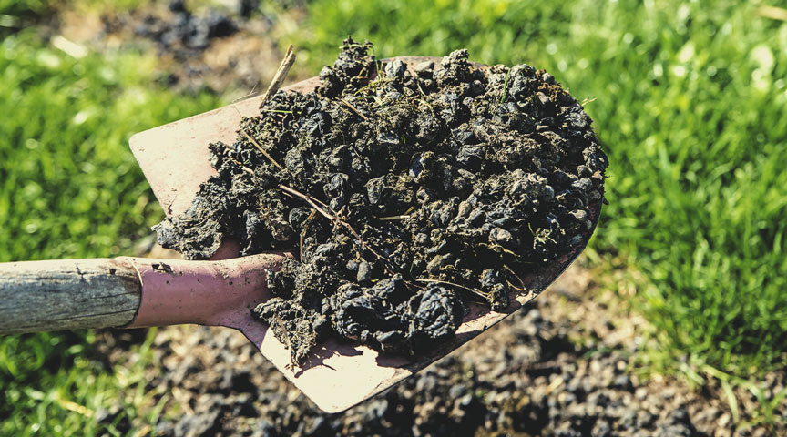 Alpaca Manure Alpaca Manure