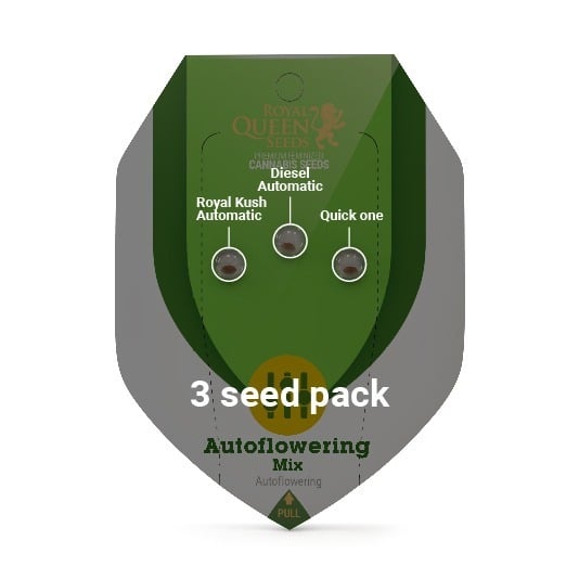 Eco Match Box - Royal Queen Seeds