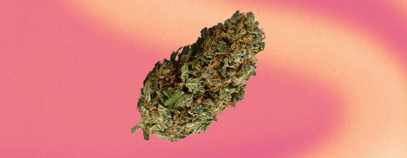 Power Plant Cannabis Strain Power Plant Cannabis Strain