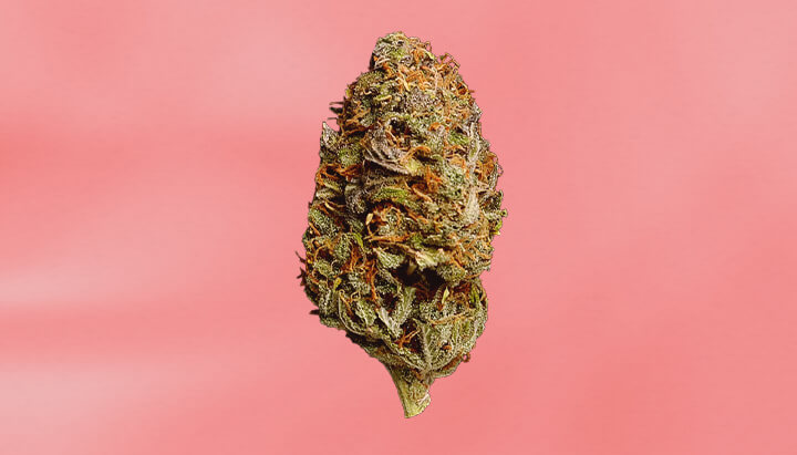 Strawberry Cough Strain Strawberry Cough Strain