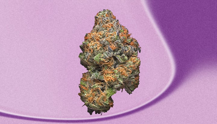 Grape Ape Cannabis Bud Grape Ape Cannabis Bud