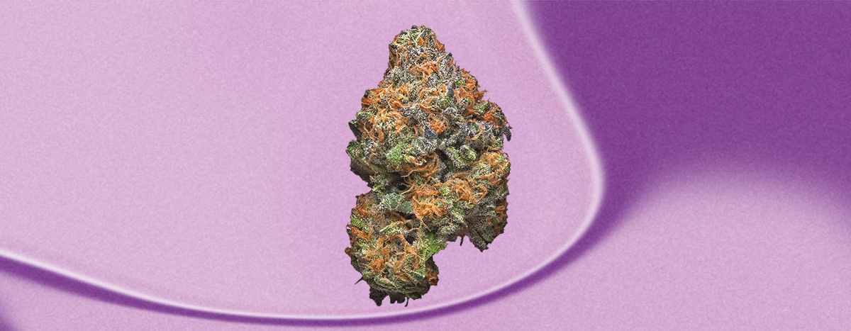 Grape Ape Cannabis Bud Grape Ape Cannabis Bud