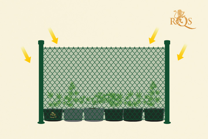 Green mesh fence to hide your plant Green mesh fence to hide your plant