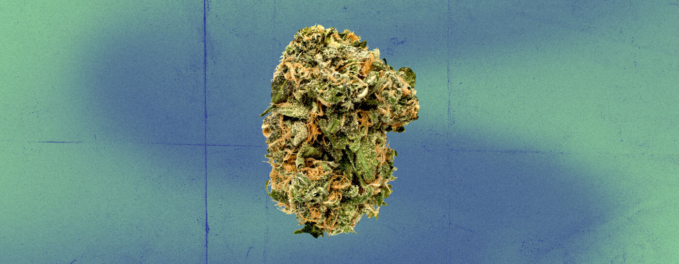 Blue Dream Cannabis Strain Blue Dream Cannabis Strain