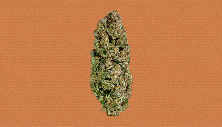 Hindu Kush Cannabis Strain Hindu Kush Cannabis Strain