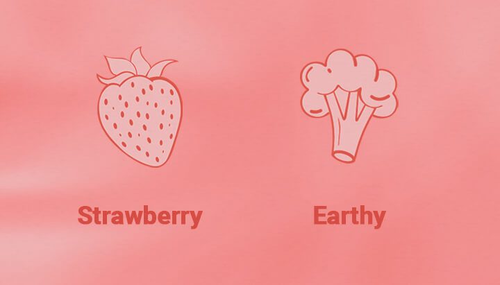 Strawberry Cough Strain Aroma Strawberry Cough Strain Aroma