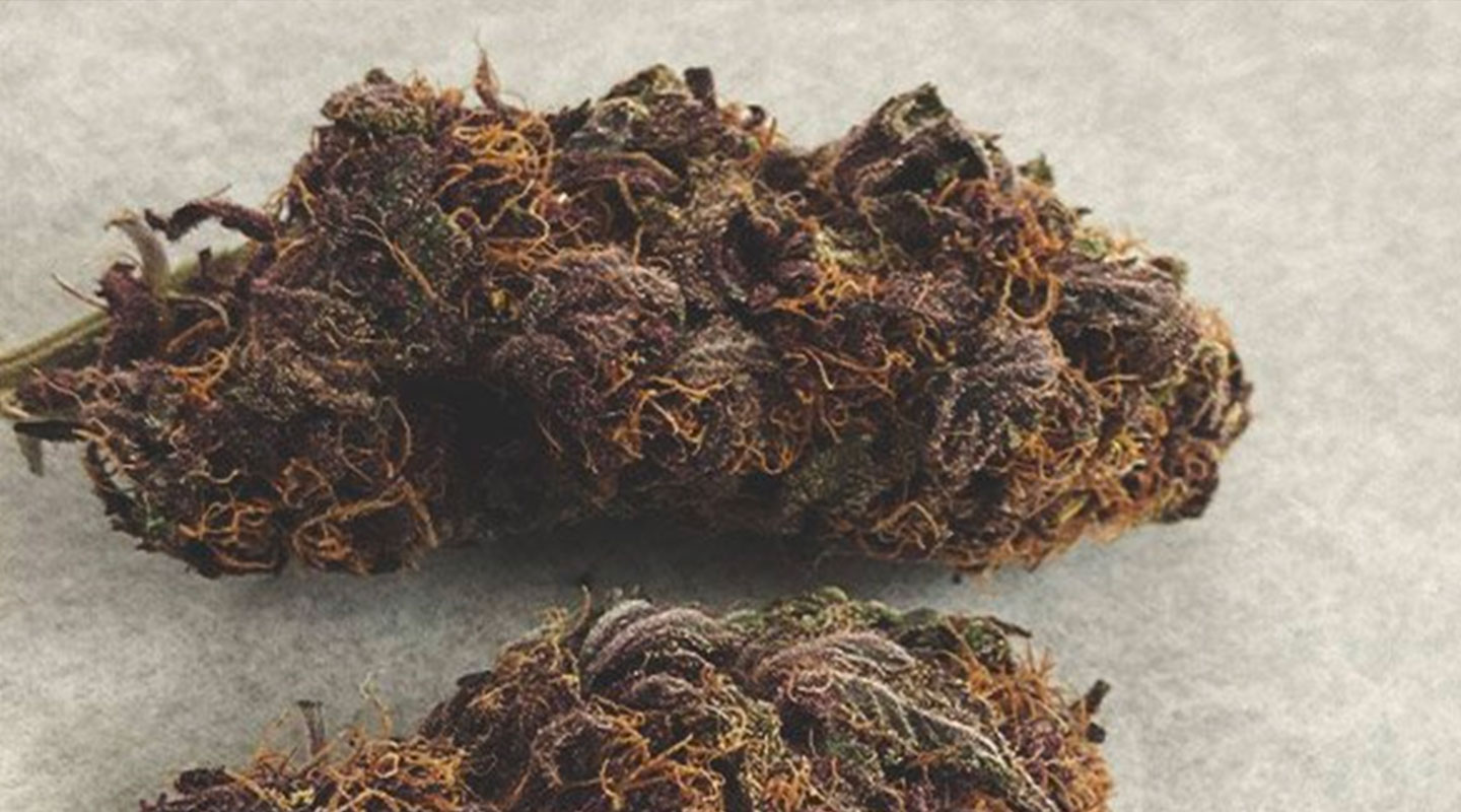 White Widow White Widow