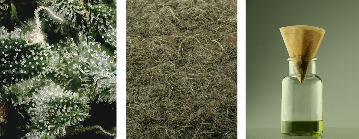 How Is Hemp Used? How Is Hemp Used?