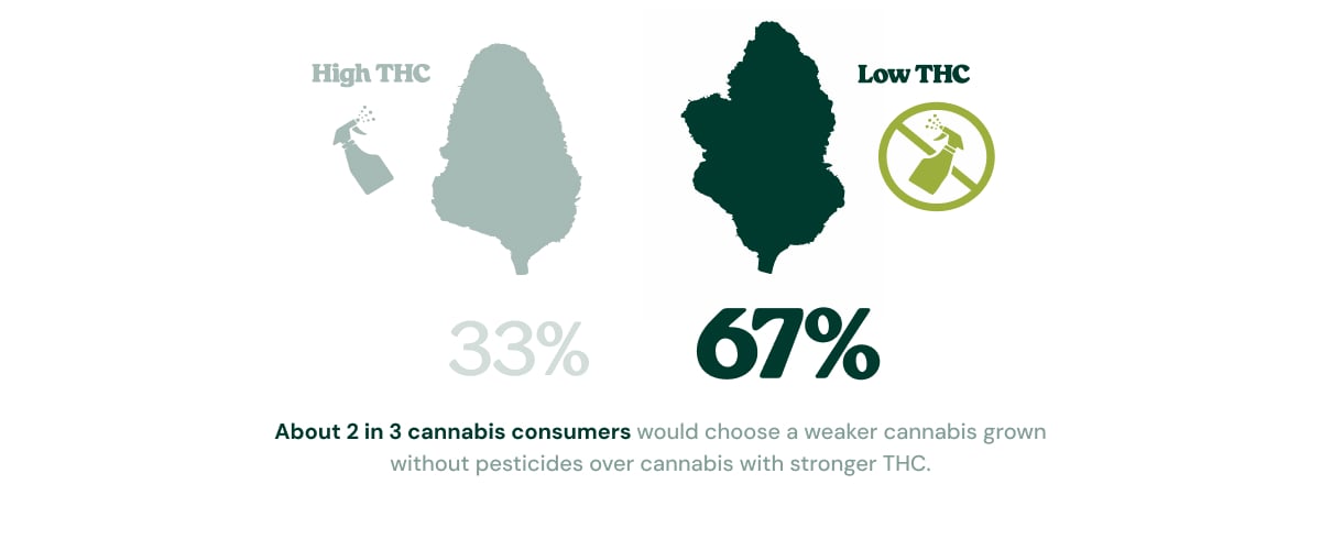 Most Consumers Prefer Cleaner Cannabis Infographic showing that 67% of cannabis consumers would choose lower-THC cannabis grown without pesticides over stronger cannabis with higher THC, while 33% would choose high-THC cannabis.