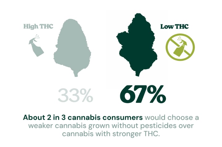Most Consumers Prefer Cleaner Cannabis Infographic showing that 67% of cannabis consumers would choose lower-THC cannabis grown without pesticides over stronger cannabis with higher THC, while 33% would choose high-THC cannabis.