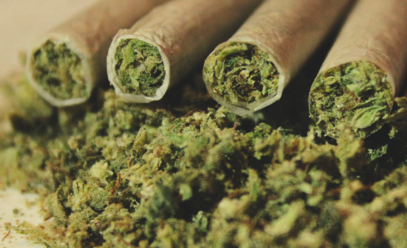 Cannabis Cannabis