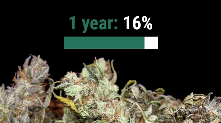 How Long Does Weed Last? How Long Does Weed Last?