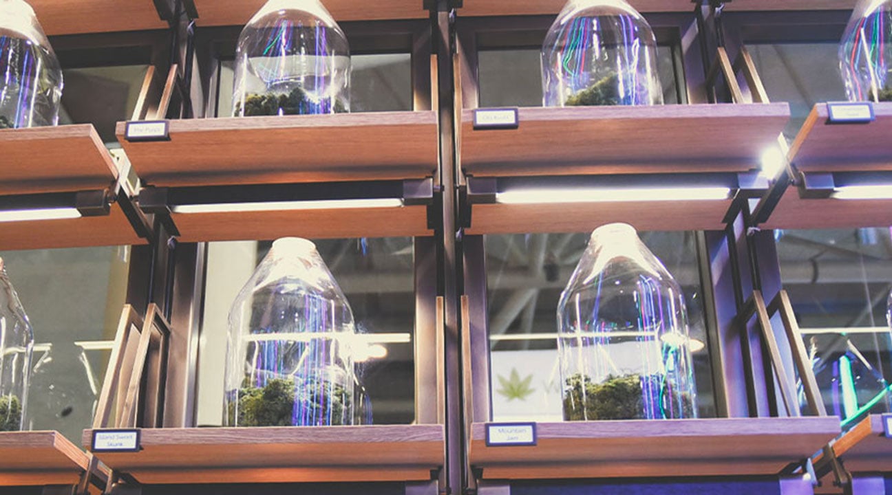 Bradley Poulos on the Present and Future of Cannabis Business Bradley Poulos on the Present and Future of Cannabis Business