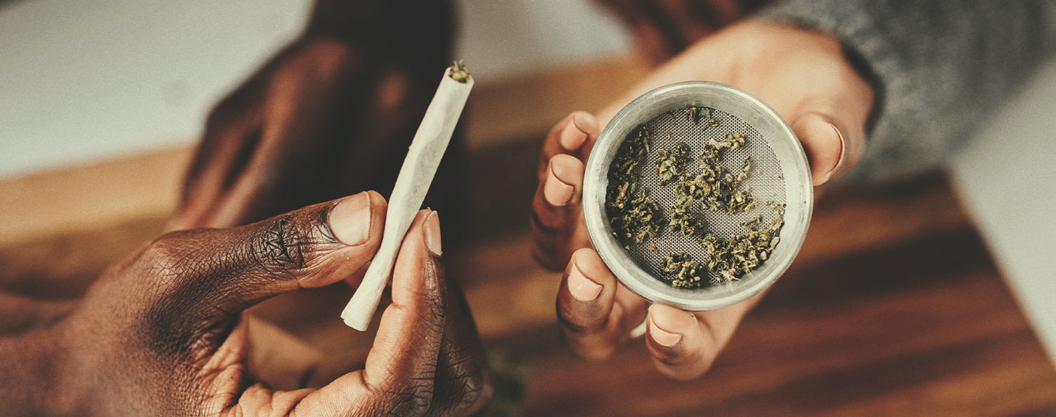 The Growth of Illegal Cannabis Markets The Growth of Illegal Cannabis Markets