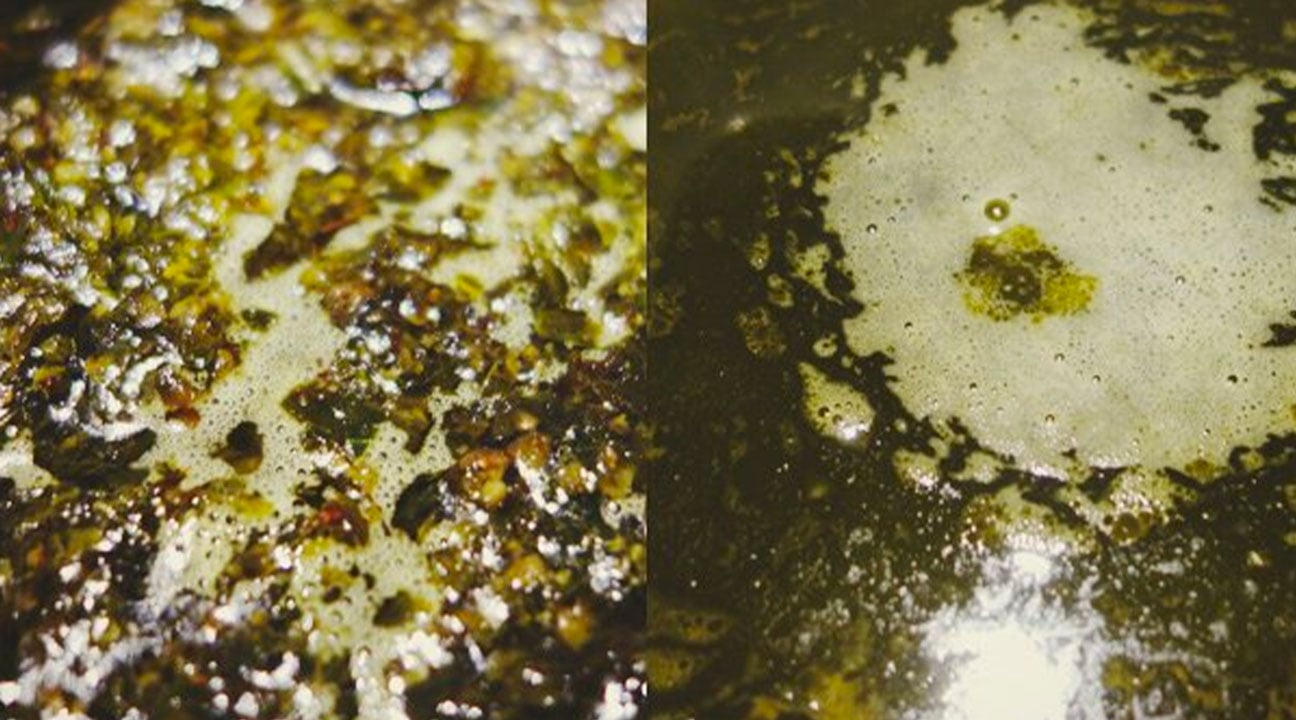 Small Bubbles Created in the Cooking of Cannabis and Butter Small Bubbles Created in the Cooking of Cannabis and Butter