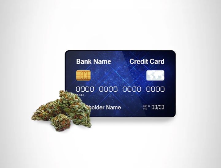 CREDIT CARD CREDIT CARD