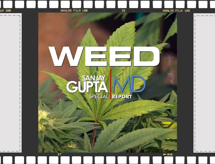 Cannabis documentary Cannabis documentary