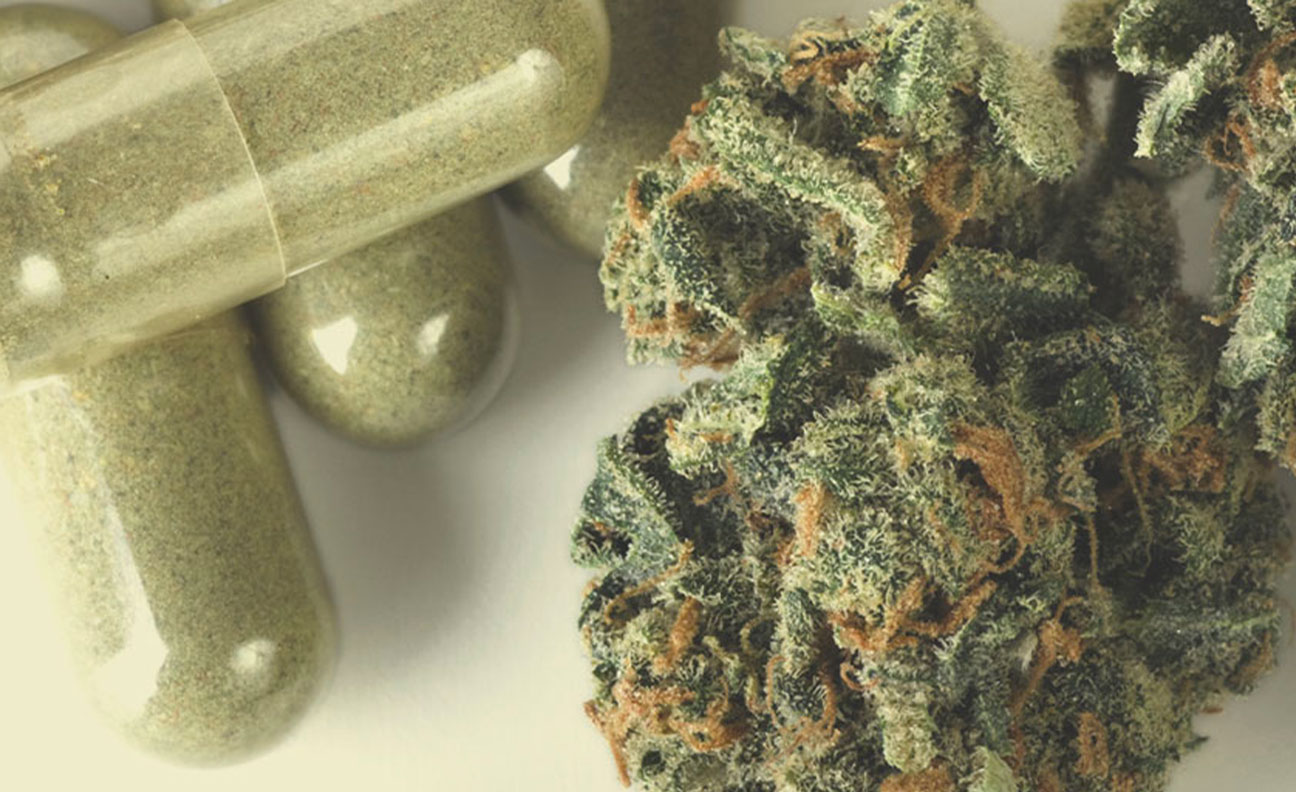Which Drugs Is Cannabis a Substitute For? Which Drugs Is Cannabis a Substitute For?