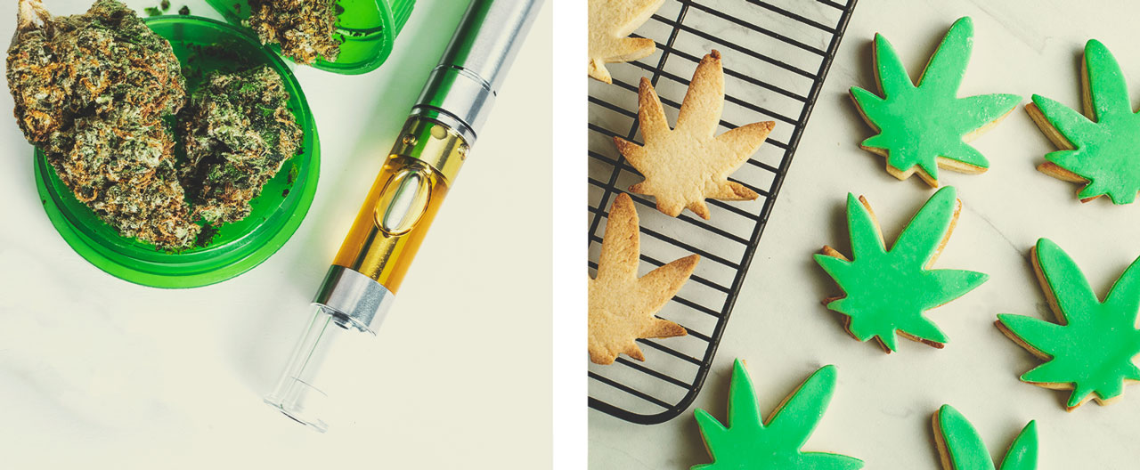 What Is the Real Effect of Cannabis on the Lungs? What Is the Real Effect of Cannabis on the Lungs?
