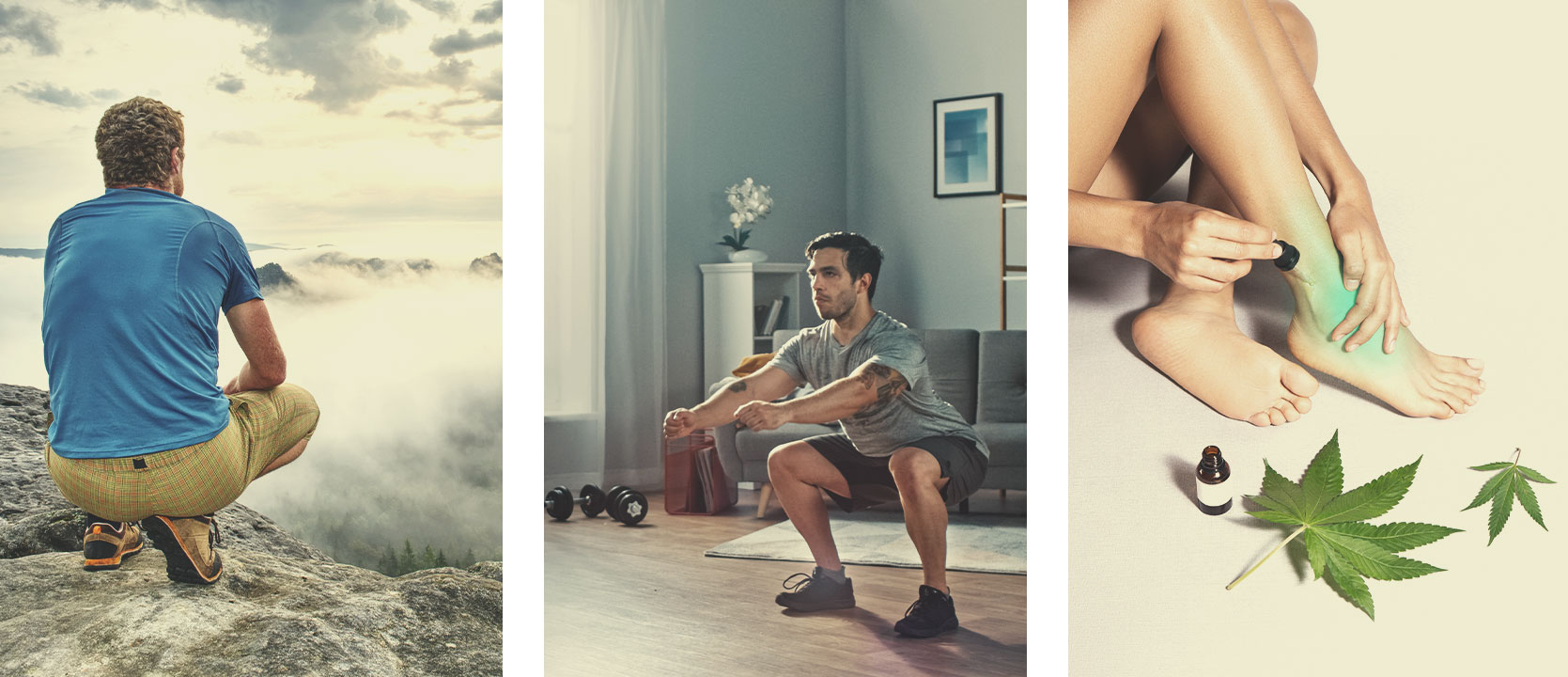 Cannabis and Exercise: What the Research Says Cannabis and Exercise: What the Research Says