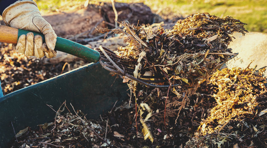 Applied directly as a soil amendment Applied directly as a soil amendment